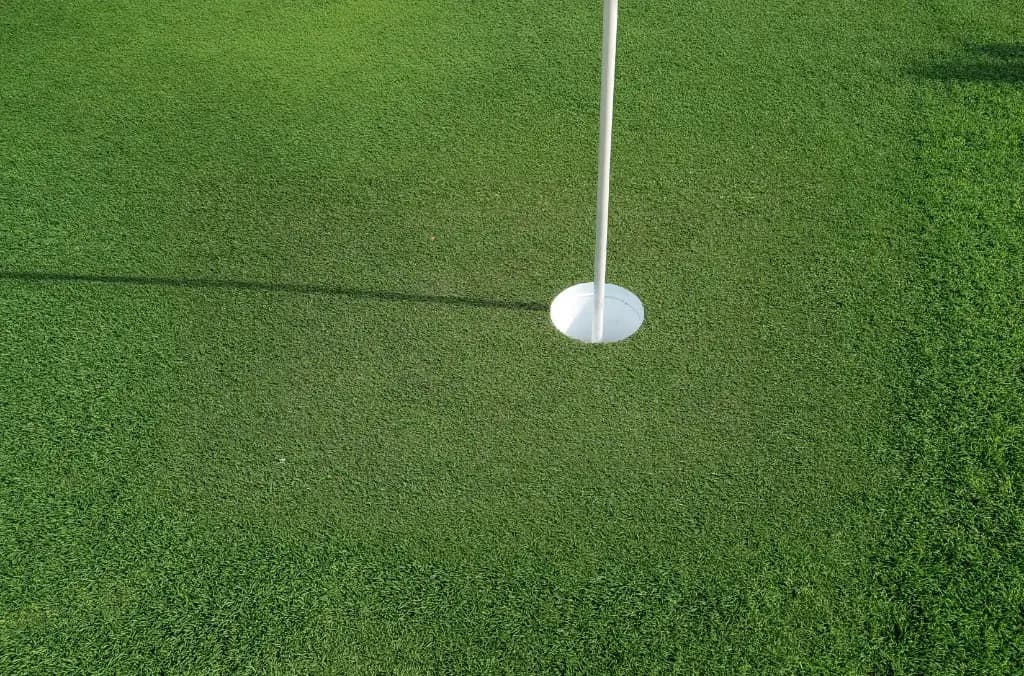 Putting green with hole and flagstick