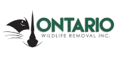 Ontario Wildlife - Wildlife conservation organization