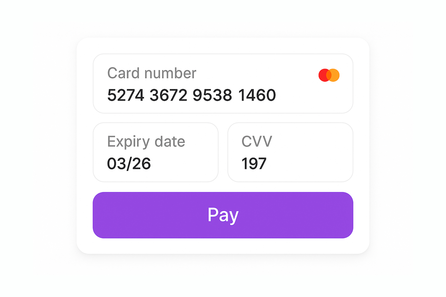 Secure Payment Processing